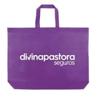 bolsa para feria